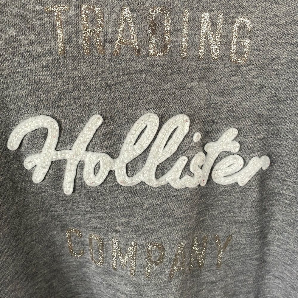 Hollister hoodie - Picture 1 of 7